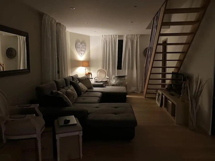 Joli Duplex Proche Du Lac Leman Messery Frankrike
